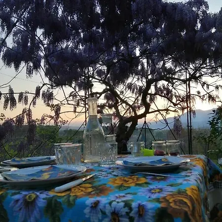 Bed & Breakfast Le Viole Bianche 3*